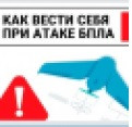 Памятка о порядке действий при получении сигналов об угрозе атаки БВС и ракетной опасности